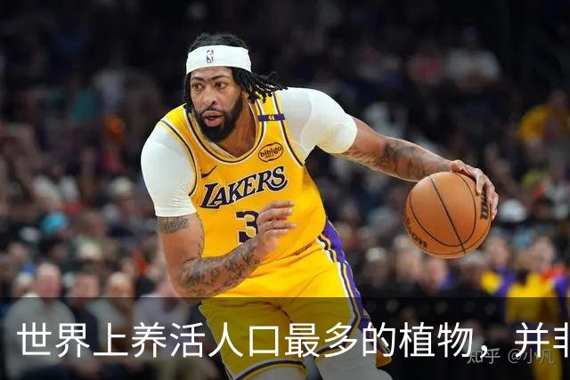 世界上养活人口最多的植物，并非小麦和玉米，而是来自亚洲的奇迹